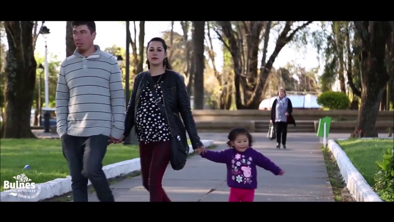 Bulnes, Provincia de Diguillín - Región de Ñuble