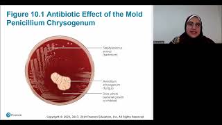 Chapter 10 [Part 1/1] - Antimicrobial drugs