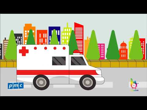 Video TUẦN 6: KHOA HỌC LỚP 5 BÀI: DÙNG THUỐC AN TOÀN TIẾT 11 - YouTube