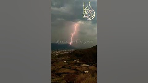 وَمِنْ آيَاتِهِ يُرِيكُمُ الْبَرْقَ | بصوت القارئ أسامة عطران وفقه الله تعالى