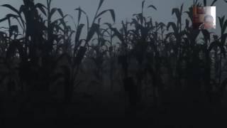 Run Timmy Run! Grant Plays INSIDE Part 1! screenshot 2