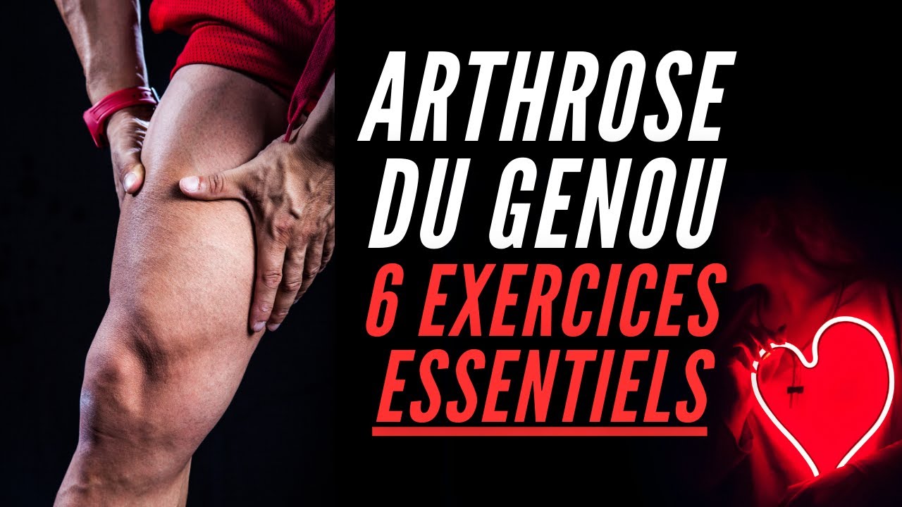 ARTHROSE DU GENOU 🦵 6 exercices ESSENTIELS assis (à la 10ème min — free download