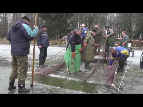 Wideo: Jak łowić Stynki W Zatoce Fińskiej