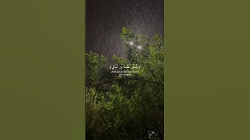 قَالَ رَبِّ اشْرَحْ لِي صَدْرِي (25) |سورة طه | شريف مصطفى