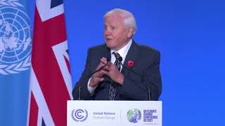 Response to Sir David Attenborough's COP26 Speech   HD