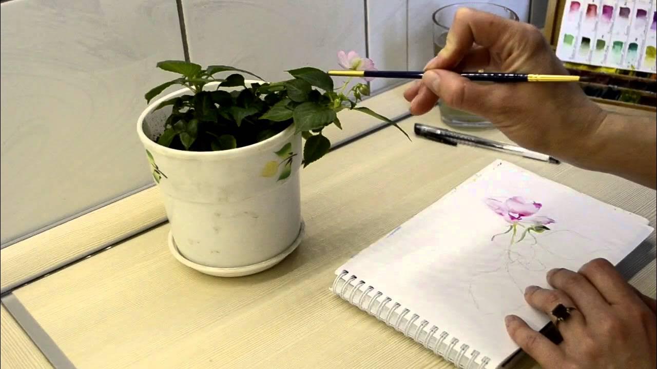 Мастер-класс #12 Быстрый скетч "Бальзамин" - YouTube