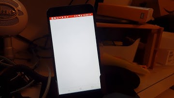 Bug report with video