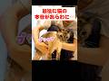 猫の本音が絞り出されました