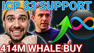 Internet Computer (ICP) At Critical $3 Zone - Massive Whale Accumulation Signal Revealed