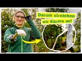 BAUMANSTRICH: Deshalb solltest du deine Bäume im Herbst streichen! 🌲