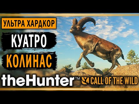 Видео: theHunter Call of the Wild #3 🐺 - Куатро Колинас (часть 3) - Хардкорная Охота
