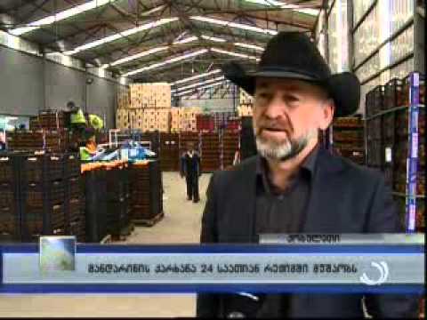 ვაკანსია ქობულეთის ციტრუსის გადამამაუშვებელ საწარმოში