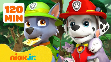 PAW Patrol Daring Outdoors & Nature Rescues! #2 🐵 w/ Rocky | 120 Minutes | Nick Jr.