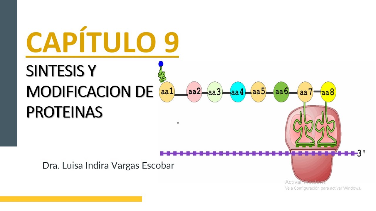 CAPITULO 9 SINTESIS Y PROCESAMIENTO DE PROTEINAS Primera parte