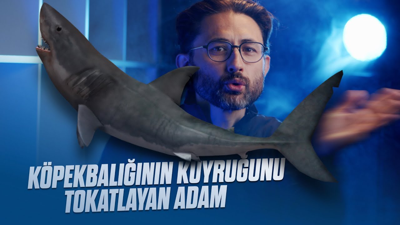 Kopekbaliginin Kuyrugunu Tokatlayan Adam Youtube