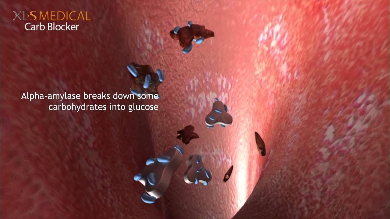 Do carb blockers work? XLSMedical YouTube