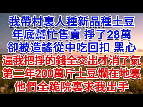 我帶村裏人種新品種土豆，年底幫忙售賣，掙了28萬，卻被造謠從中吃回扣，黑心，逼我把掙的錢全交出才消了氣，第二年200萬斤土豆爛在地裏，他們全跪院裏求我出手！#為人處世 #生活經驗 #情感故事