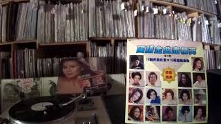 張琍敏 Zhang Limin -- b6 夜上海