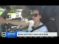 Black bear sighting has everyone talking in one Bergen County, N.J. town