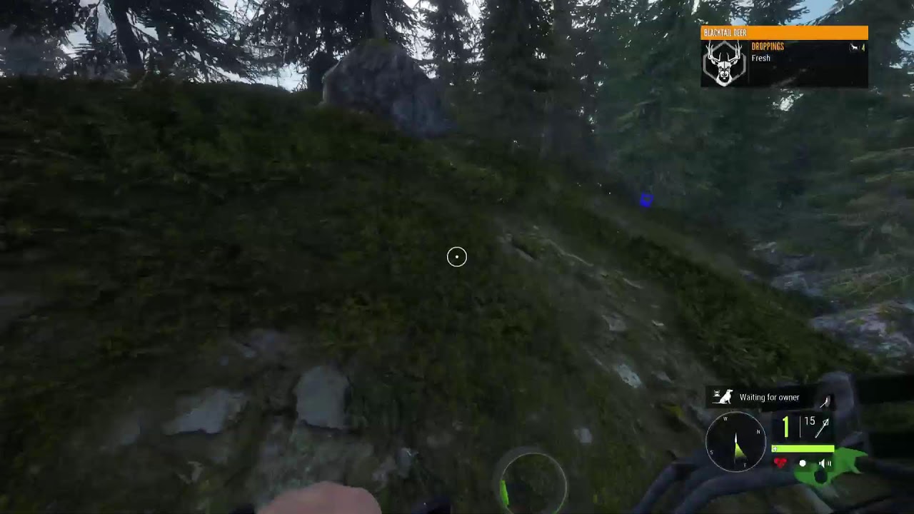 The hunter call of The wild 🦁🫎