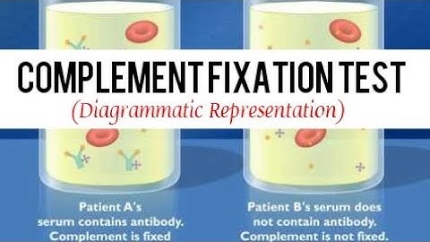 Complement Fixation Test | Immunology | KaizmaExamTime
