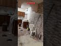 هينؤ قاعد بجهز ببيتي اكسبلور تيك توك ترند يوميات ام نمر