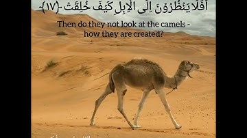 سورة الغاشية بصوت الشيخ إدريس أبكر..Surah Al Ghashiya by Sheikh Idress Abkar