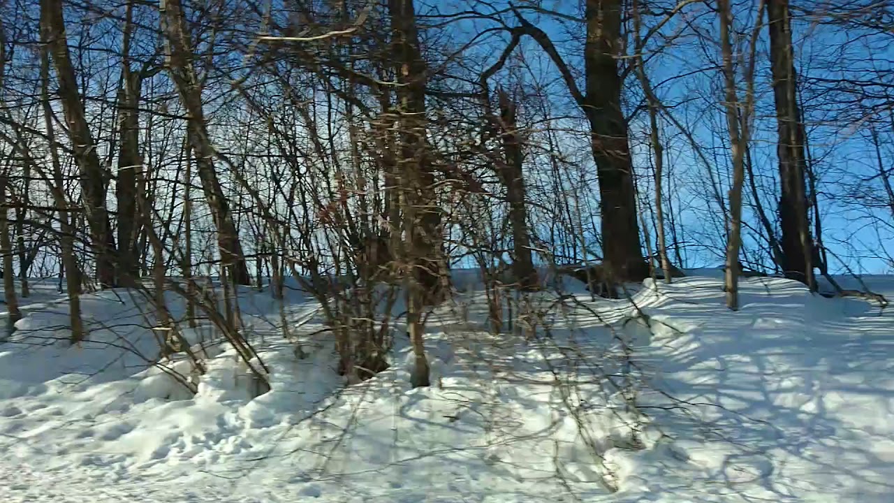 Winterwonderland Ammergau