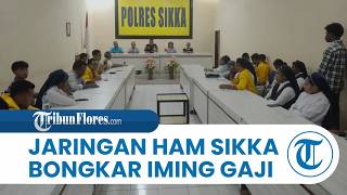 Download Lagu Jaringan HAM Sikka Beberkan LC Pub Eltras Maumere Diimingi Gaji Rp 8 Juta Sampai Rp 10 Juta MP3