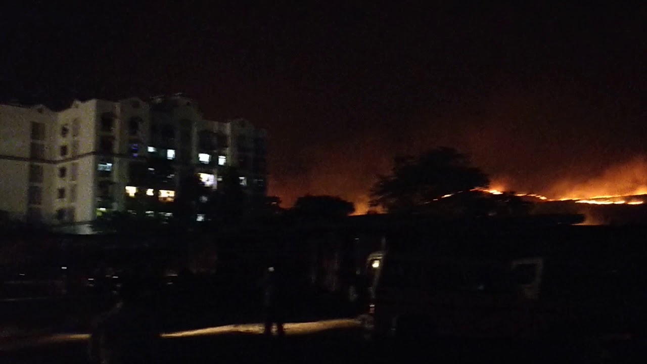Aarey colony 🔥 fire filmcity