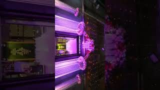 Contact For Event Planning & Decor @ 9163320720