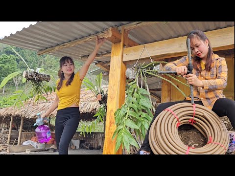 Full video expanding farm. Daily life and actual work of Binh, a girl living in rural Vietnam