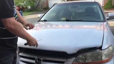 Honda Accord Hood Won