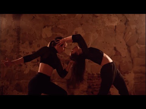 I DID SOMETHING BAD - Taylor Swift / Choreography Marie Bugnon / Filmed by Damien Dos Santos