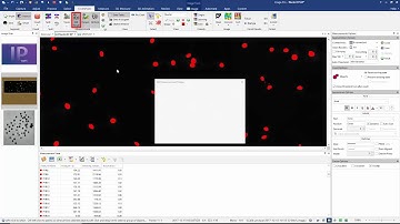 Finding, Measuring, and Counting Objects (Segmentation) with Image-Pro