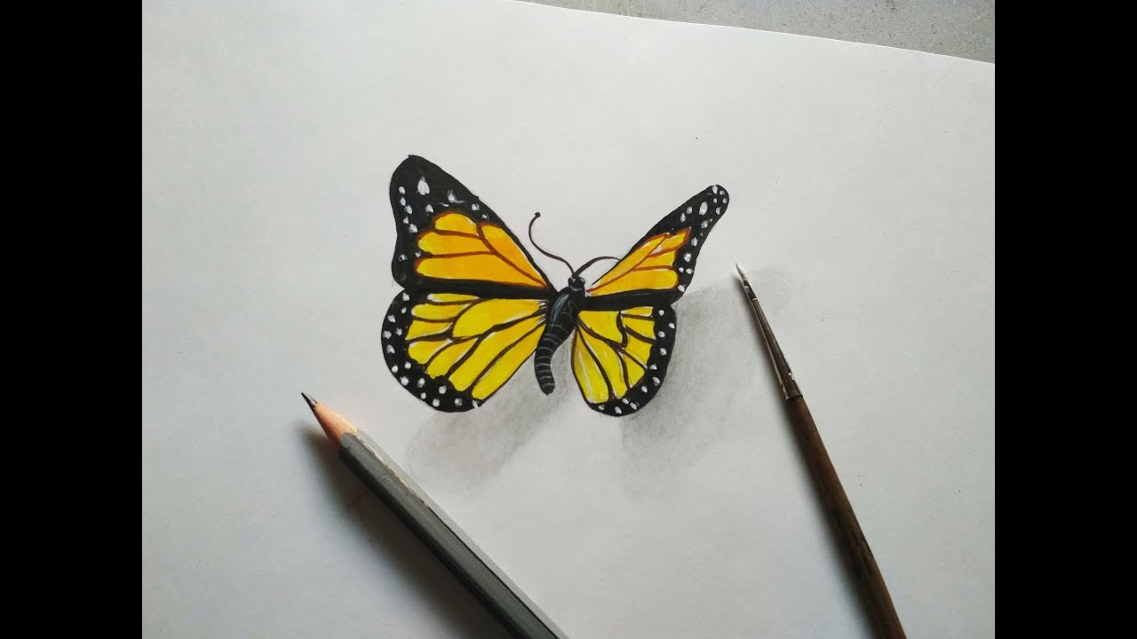 Featured image of post How To Draw A 3D Butterfly Step By Step Easy