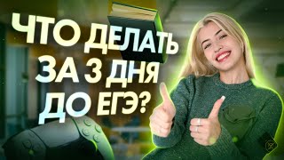 Что делать за 3 дня до ЕГЭ | Русский с Верой ЕГЭ Flex