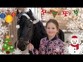 Lunge Johnny. He starts bullying, is Johnny going to lunge them.... | Friesian Horses vlogmas