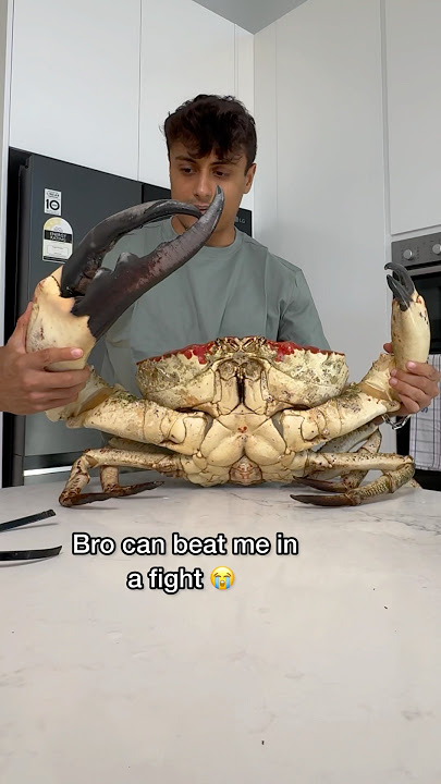 World’s Largest Crab