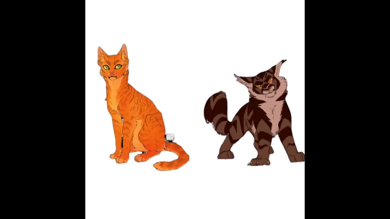 Firestar X TigerStar  = DIVISION 