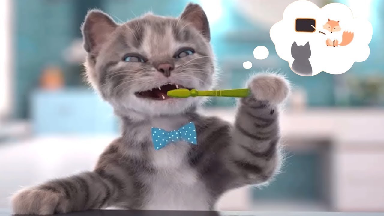 Little Kitten Preschool - Kids Learn Colors, Pet Care Game - Fun Educational Learning Kids Games