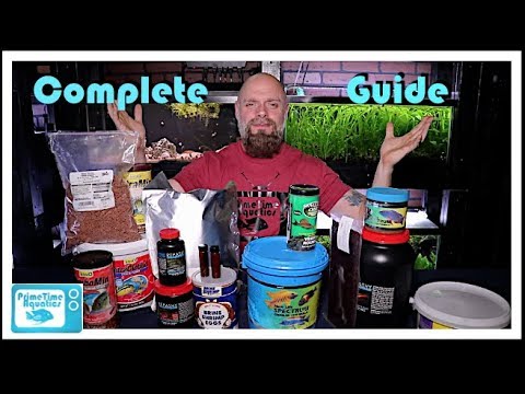 Fish Food - Everything You Need to Know!