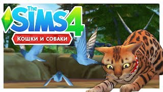 ГУЛЬ-ГУЛЬ-ГУЛЬ! 🐦\The Sims 4: Кошки и собаки #19 ГУЛЬ-ГУЛЬ-ГУЛЬ! 🐦\The Sims 4: Кошки и собаки #19