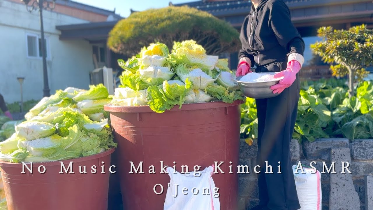 ASMR без музыки | Приготовление кимчи | 1500 кг пекинской капусты | Корейский Kimjang влог
