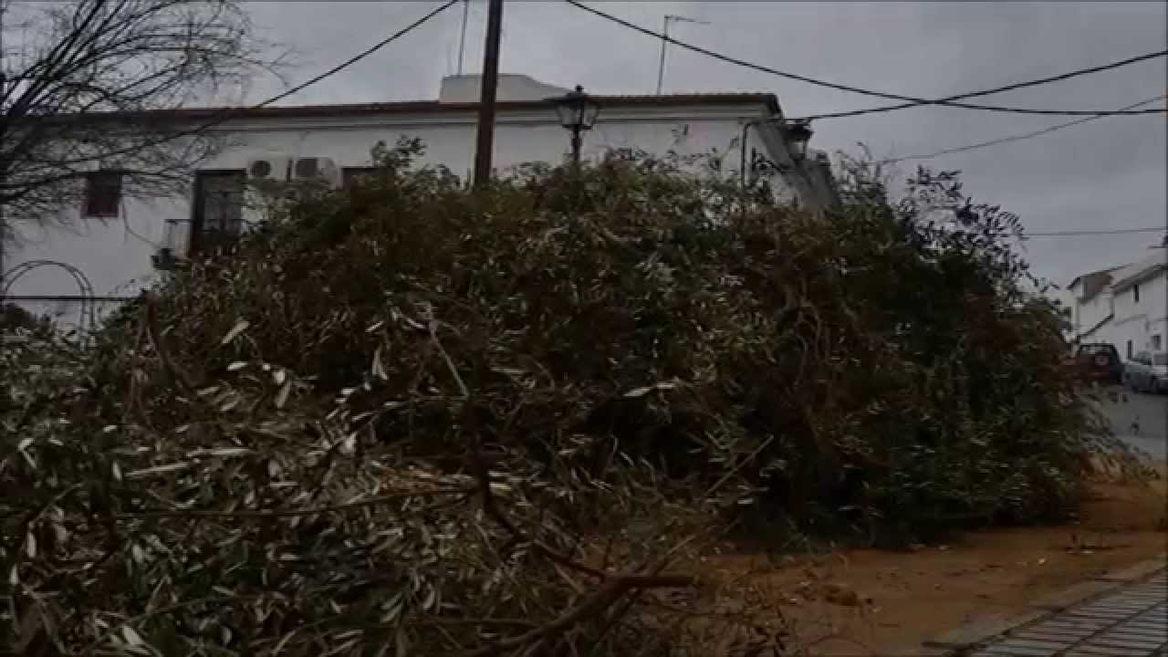 Las Candelas en La Puebla de los Infantes (Sevilla)