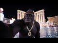 Gorilla Vlogs: Skinny Dipping In The Las Vegas Bellagio Fountains