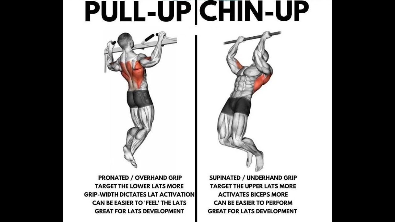 5 Seductive Ways to Improve Your Chin Over Bar Pull Up