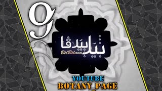 Bel Belava Xalaka 9 Ginde Zewka Aboy 2019 Warven Tufiq بیل بیلافا خه له کا ۹ گوندی زیوکا عه بوی ۲۰۱۹ Bel Belava Xalaka 9 Ginde Zewka Aboy 2019 Warven Tufiq بیل بیلافا خه له کا ۹ گوندی زیوکا عه بوی ۲۰۱۹