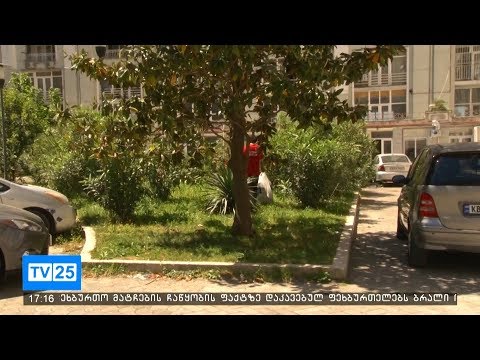 სანდასუფთავების სამსახურმა აქცია გამართა