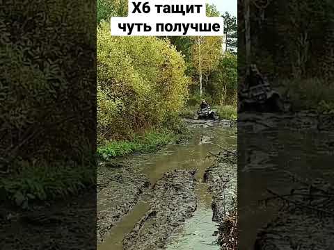 Проедет? квадроцикл cf moto x6 в глубокой грязи